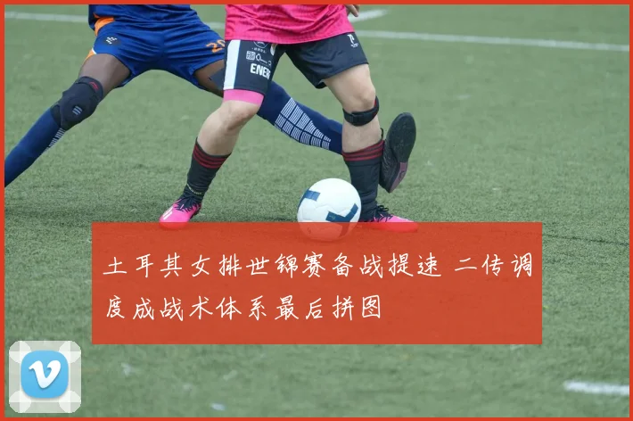 土耳其女排世锦赛备战提速 二传调度成战术体系最后拼图